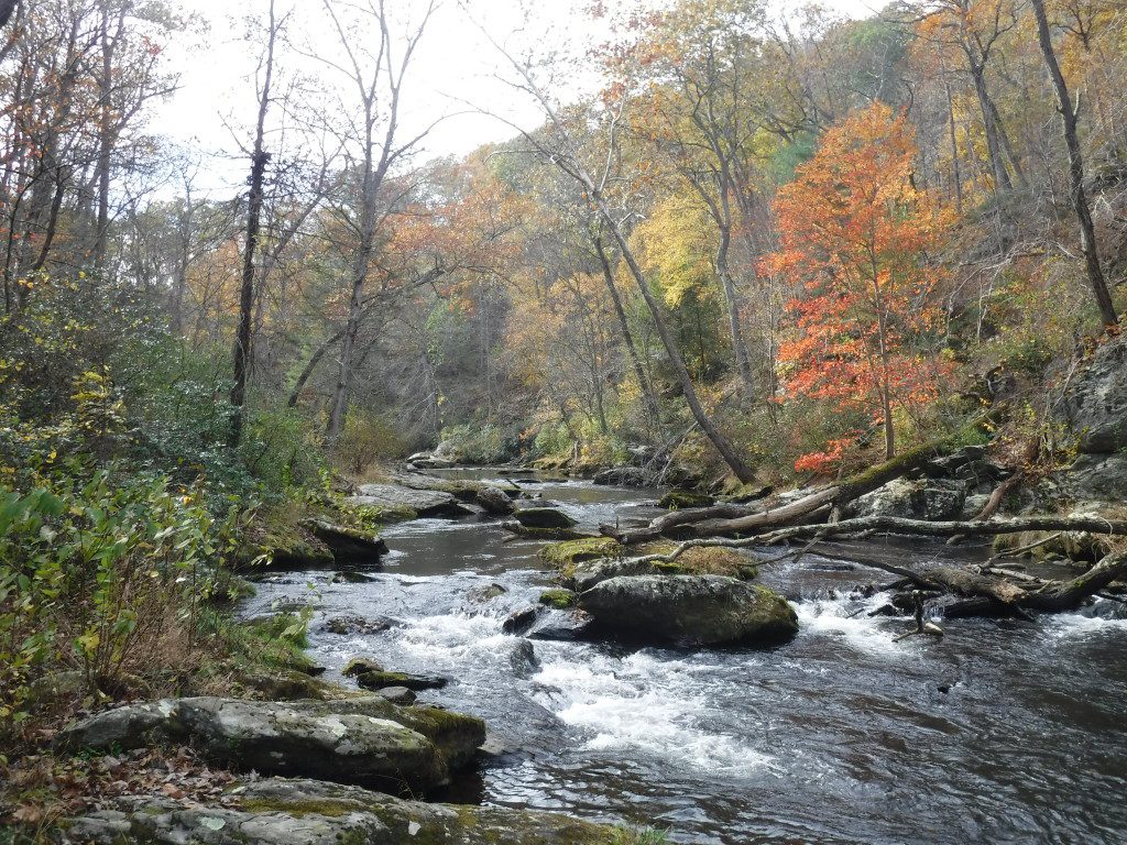 Changing seasons in the boulder pools