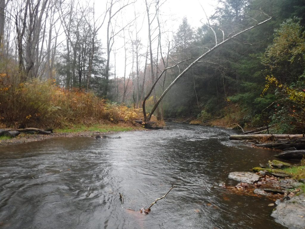 Rainy day at masemore